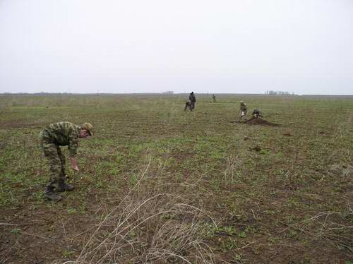 Поиск останков погибших с помощью щупов и металлодетекторов в Волгоградской области