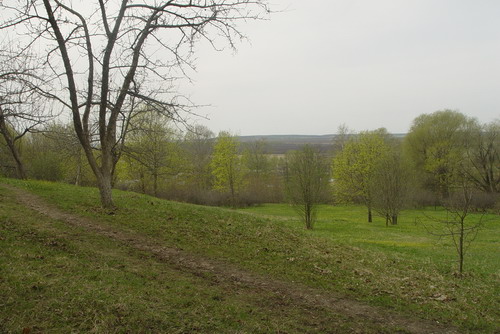 Вид с территории усадьбы в сторону речки Азанки  