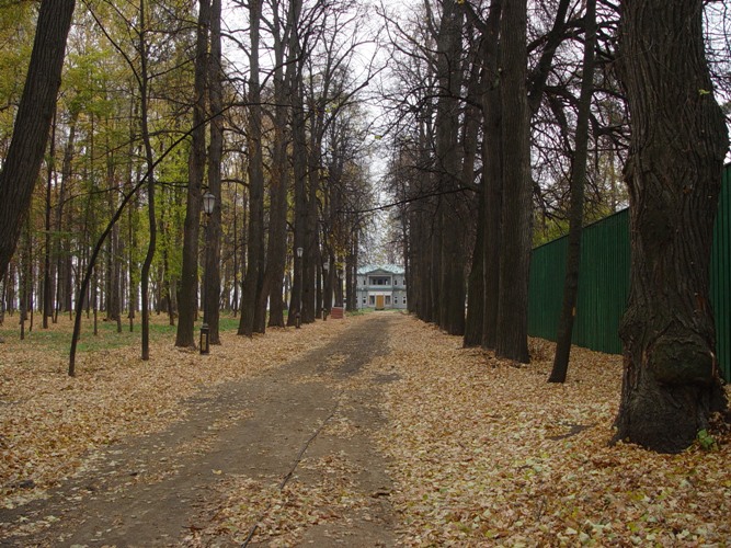 Главная аллея парка. Фото И.С.Агафоновой, октябрь 2005 г.