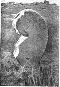  Каменная капитель с головой льва из Шемаха-кала
