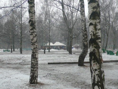 Пивные павильоны на территории парка.
