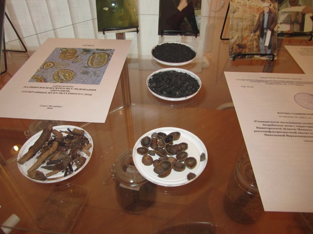 Так выглядят скорлупки лесных орешков, найденные в слоях XVIII века