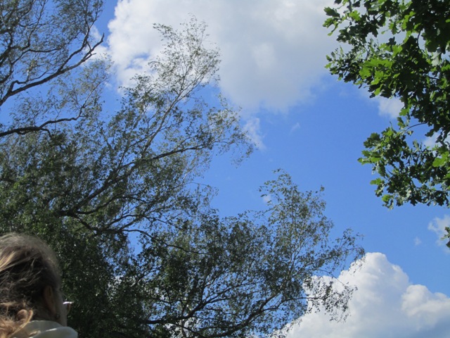 Июньское небо над Бородинским полем