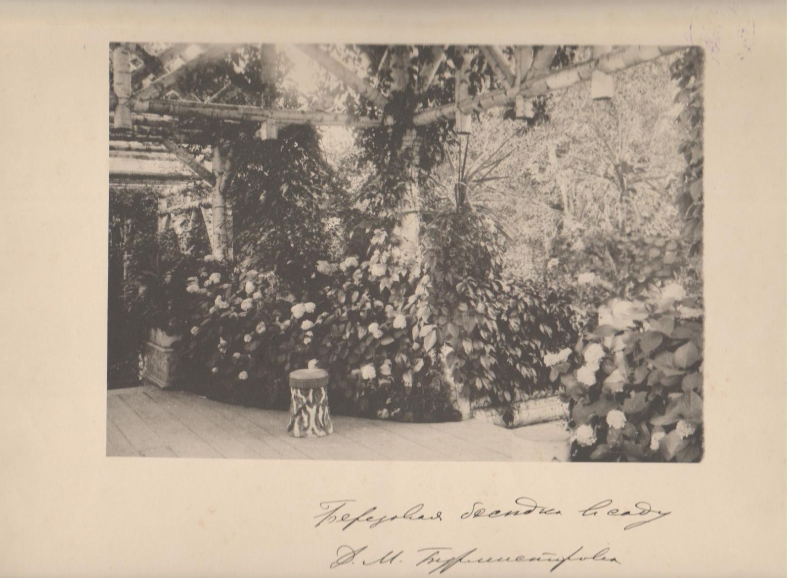 Березовая беседка в саду Д.М. Бурмистрова, 1894 г.