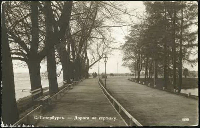Дорога на Западную стрелку, 1913 г. Открытка.  Интернет-ресурс: http://oldsp.ru.