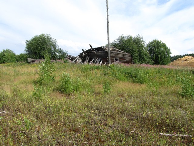Развалины деревянного гаража. Вид с юго-запада.