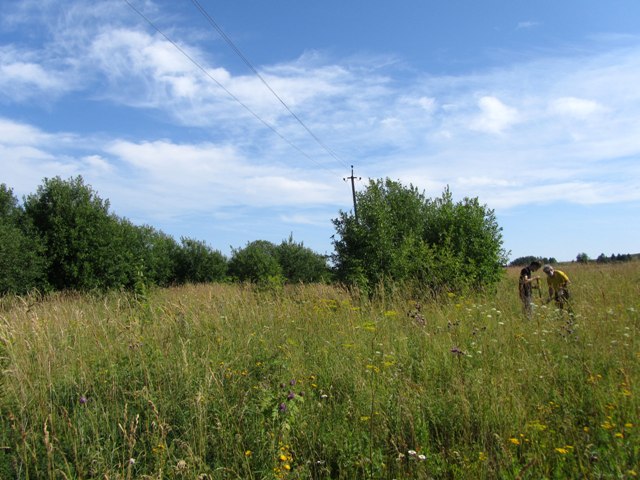 Место расположения шурфа №8 в северо-западной части бывшего поля. Вид с юга.