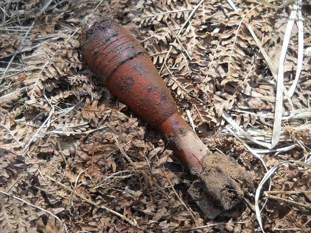 Во время поиска встречались и подобные предметы: немецкая 50-мм мина