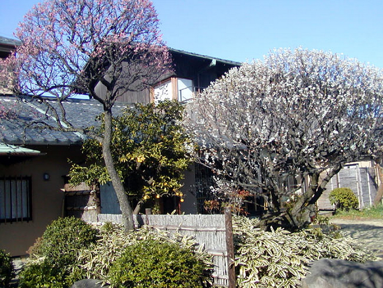 Кадокава Гэнъёси.Чайный павильон, ограда