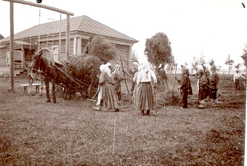 «Уборка сена на усадьбе». Фото 1915 г. 