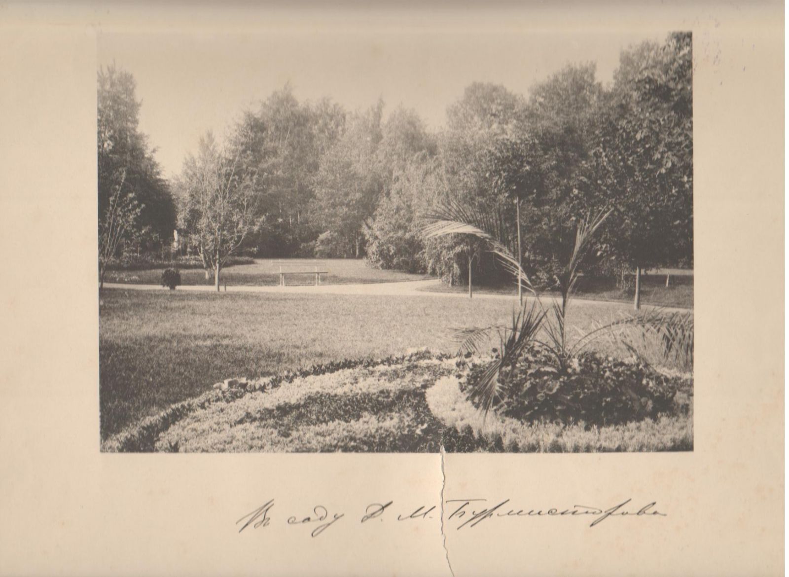 В саду Д.М. Бурмистрова. Фото М.П. Дмитриева, 1894 г.